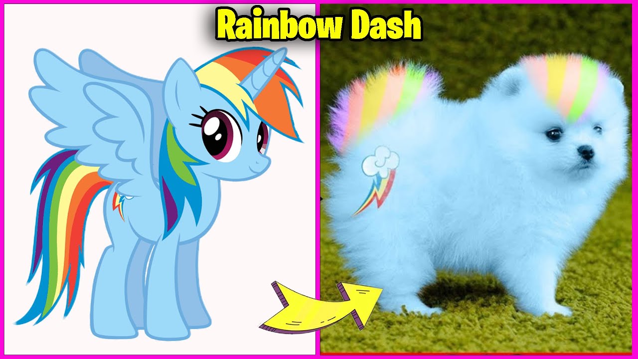 My Little Pony Becomes Dog 😱 MLP If Were Dog In Real Life