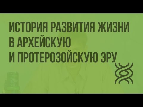 История развития жизни в архейскую и протерозойскую эру. Видеоурок по биологии 11 класс