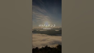 قل من كان في الضلالة فليمدد له الرحمن مدا || القارئ:عبد الرحمن مسعد