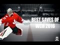 Best saves of the world cup of hockey 2016