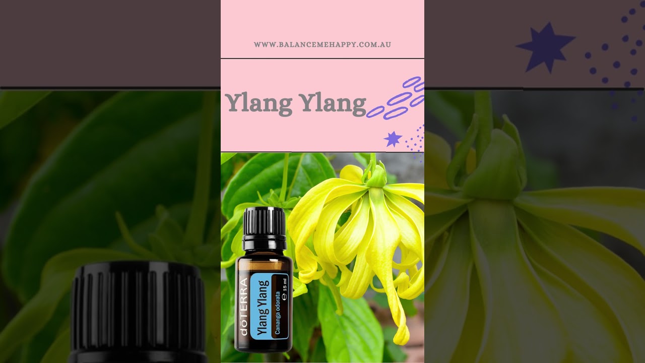 Best 5 Essential Oils for Anxiety