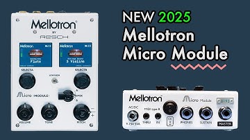 NEW Mellotron Micro Module - 2025 review and demonstration video