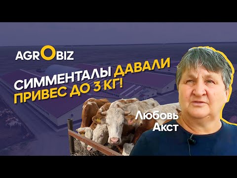 Бейне: Астық сүрлемі қанша тұрады?