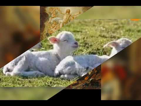 ترنيمة متشغلش بالك بالصور