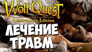 видео: Логово с оценкой НОЛЬ! WolfQuest: Anniversary Edition #81 картинка: Логово с оценкой НОЛЬ! WolfQuest: Anniversary Edition #81
