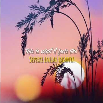 Gracie Abrams - Feels like | lirik terjemahan (Story WA 30 detik) #shorts #short