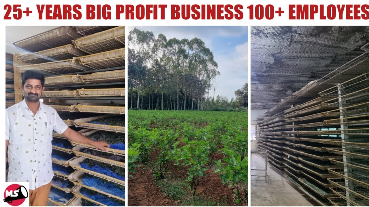 25+ Years Huge Profit Silk Farm Business 100+ Employees Keeranagere