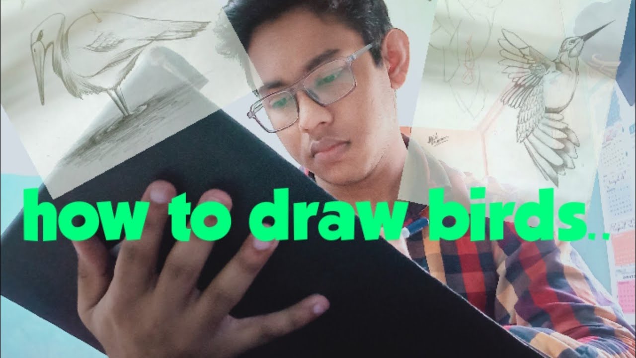 How to draw birds👈😃||pencil shading - YouTube
