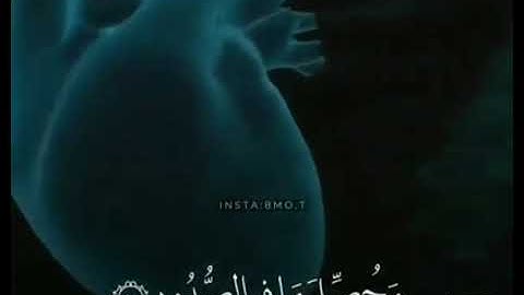 تلاوة مبكيه {أَفَلَا يَعْلَمُ إِذَا بُعْثِرَ مَا فِي الْقُبُور}