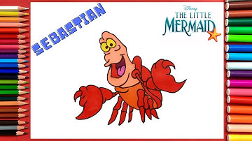 How to Draw Sebastian Easy | The Little Mermaid
