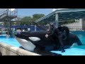 Dine with Shamu - Aug 10 2016 - SeaWorld San Antonio