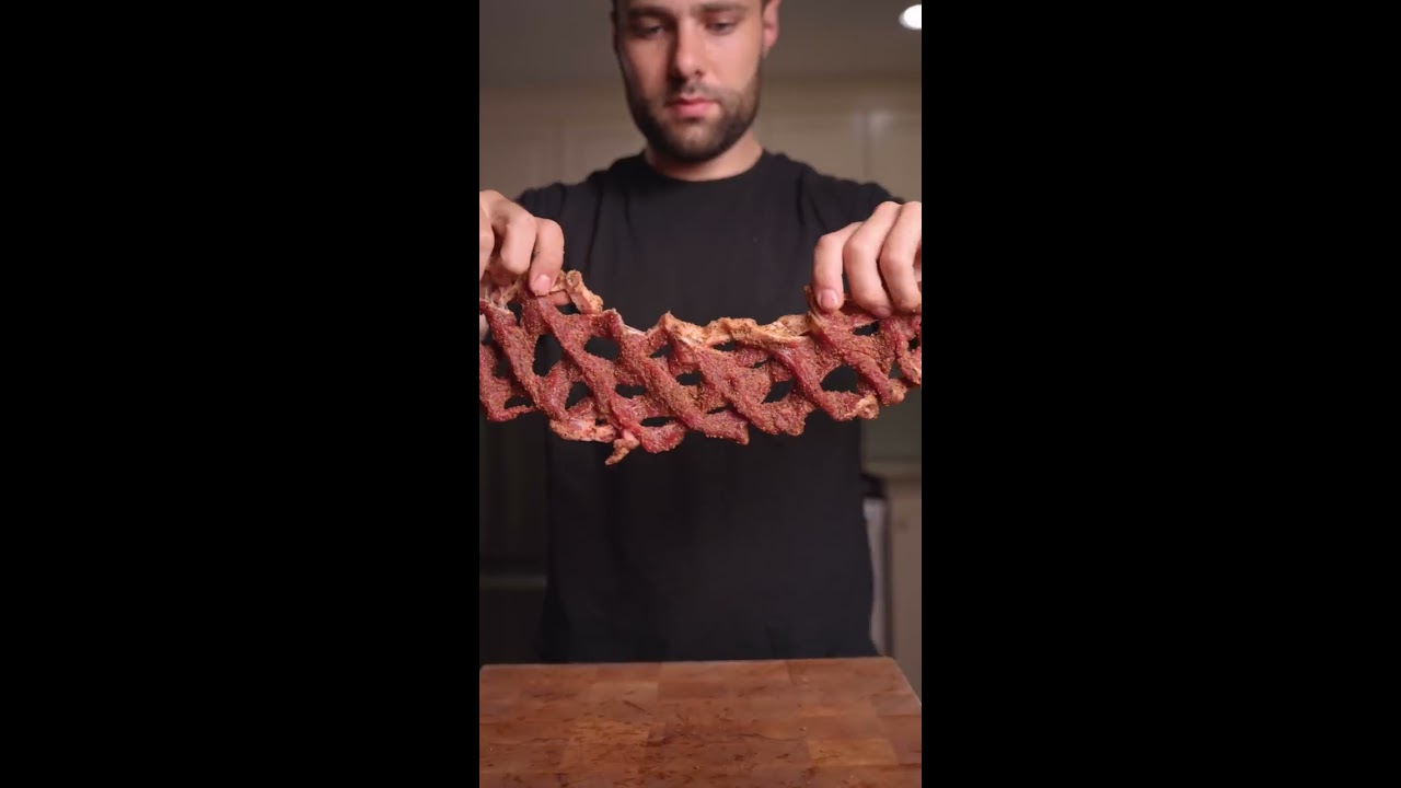 The Steak Accordion I Did Something Bad 