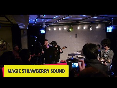 [msb TV / Live ] 정차식(JEONG CHA SIK) - 풍각쟁이 (춘래불사춘 @ 딸기다방)