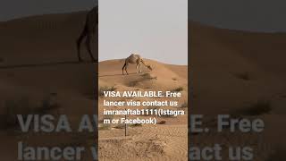 Visa available for free lancer in Dubai UAE . Contact us , 2 years visa ,