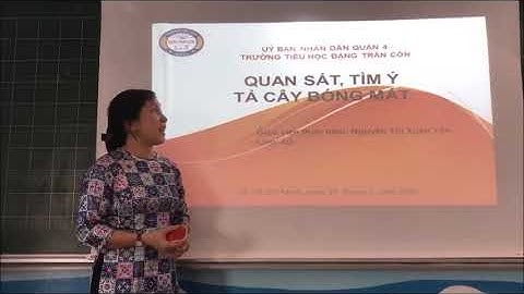 Bài TLV Tả Cây Bóng Mát Lớp 4