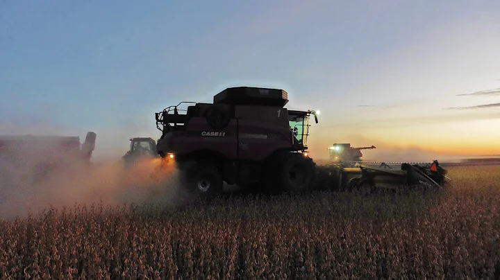 Odegard Harvesting 2018 Fall