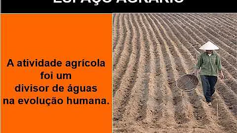 Como está organizado o espaço agrário?