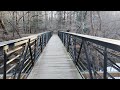 Walking Through the Woods | Real Forest Sounds & Nature Escape