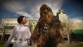 Crosswalk Chewie 20 1 6