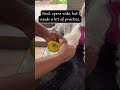 Tiny Zoof Boots openings magically fit your dog’s big paws? see this #dogs #dogshoes #doggielife