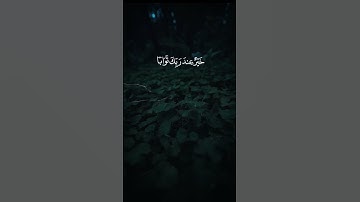 ماهر المعيقلي:سورة الكهف الايه:(٤٦)