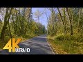 4K Scenic Drive with Floating Music - Snoqualmie, Washington State - 4min Trailer