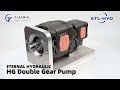 Hg internal series gerar pump  eternal hydraulic