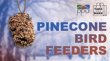 Adult Crafts: Pinecone Bird Feeder