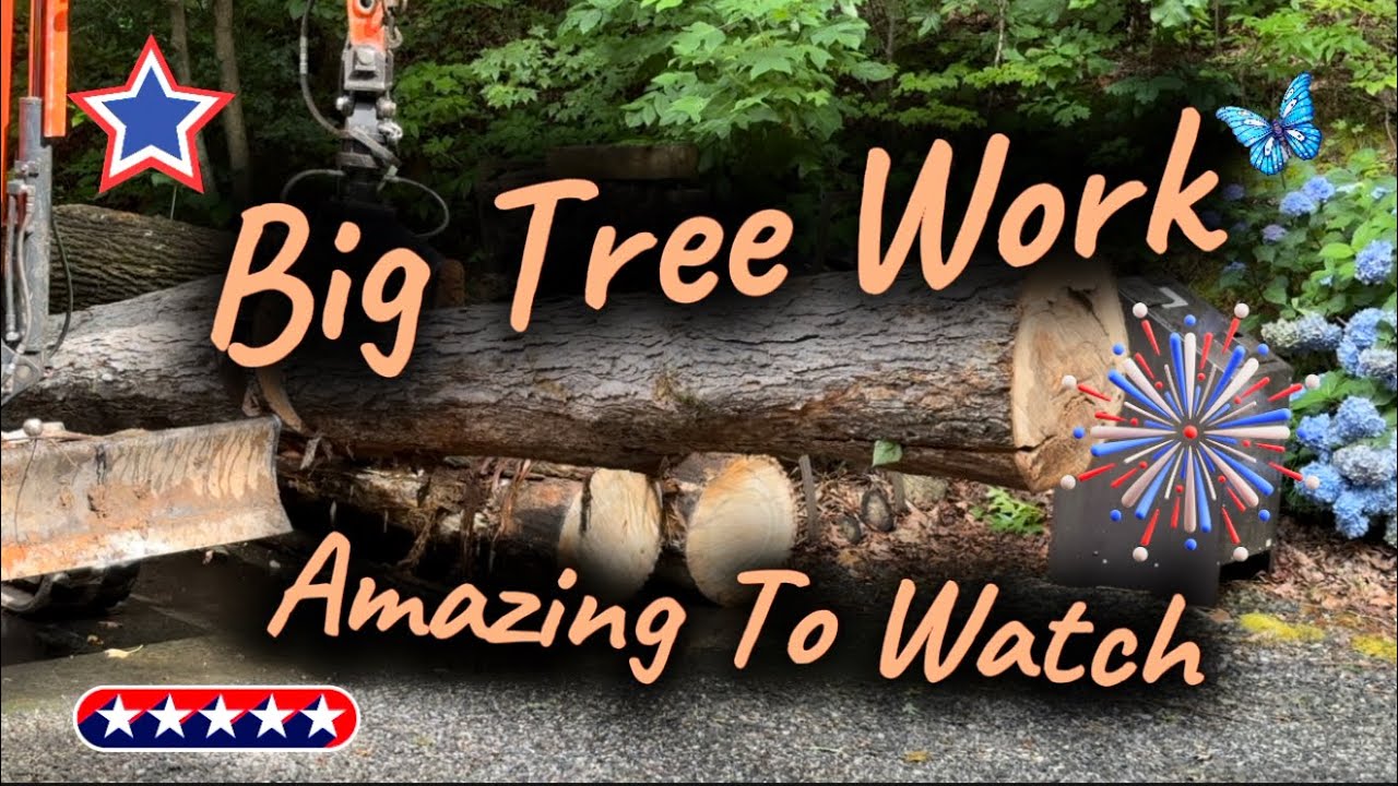 Amazing Big Tree Work - YouTube