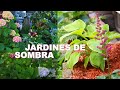 PLANTAS DE SOMBRA, perfectas para un jardín con poca luz | Crea tu jardin de ensueño fácil y rápido