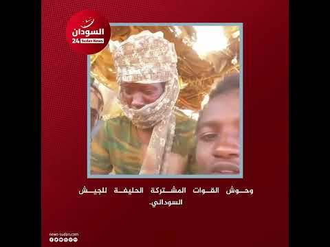 وحوش القوات المشتركة الحليفة للجيش السوداني
