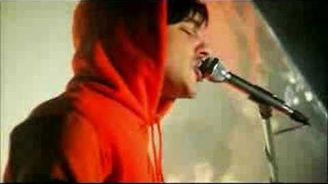 Shy Child - Noise Won