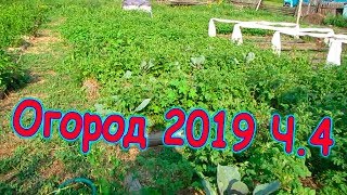 Огород 2019 Ч.4 Семья Бровченко. Огород 2019 Ч.4 Семья Бровченко.