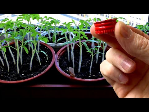 Как не испортить