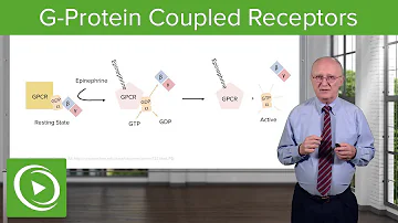 G-Protein Coupled Receptors (GPCRs) – Biochemistry | Lecturio