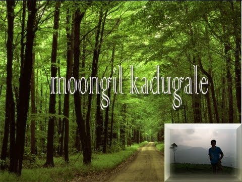 Moongil kaadugale song  for  natural  life  survival  Reghu7