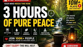 3 HOURS of Deep Relaxation 🌿 Peaceful Piano & Forest Sounds | Sleep, Meditation & Stress Relief