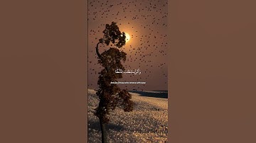 Surah An Nazi'at - سورة النازعات  by Mishary Rashid Alafasy | OneGodOneAllah