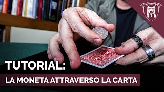 TUTORIAL: LA MONETA ATTRAVERSO LA CARTA