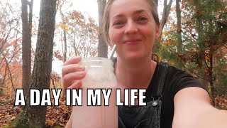 A Day In My Life Healing From Chronic Illness | Carnivore Update, Rock Climbing & Our Chickens