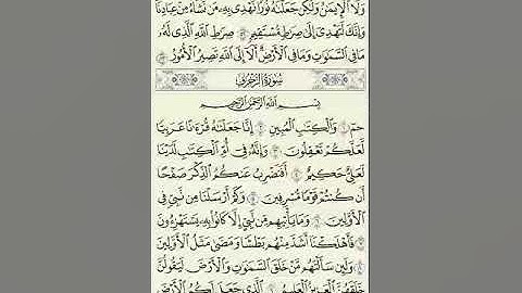 الشيخ زكي داغستاني من أول سورة الشورى جزء الشورى كامل .