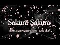 Sakura Sakura