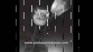 Video thumbnail of "Poetas Andaluces, Alma ausente, Federico García Lorca,"