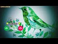 Iphone notifications tone original alone bird ringtone  new flute ringtone mp3ringtones