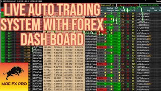 Live Forex Trading with Golden Road Indicator