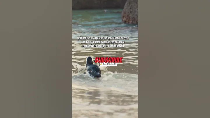 The only constant is change.  #inspirationalquotesofthedayeveryday #motivation #inspirationalquotes