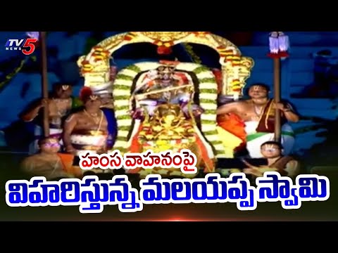 Malayappa Swamy Darshan On Hamsa Vahana | Tirumala Brahmotsavam 2025 || TV5 News - TV5NEWS