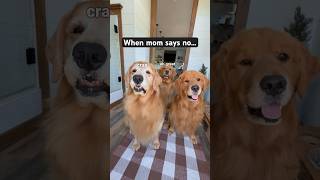 When your mom says no...