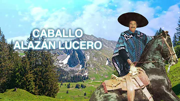 Antonio Aguilar – Caballo Alazán Lucero (Letra Oficial)