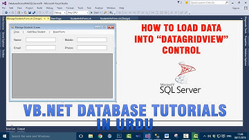 P(1) VB.NET Database Tutorial In Urdu - Loading Data Into DataGridView Control